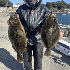 2月4日（水）午前便・泳がせ釣りの写真その4