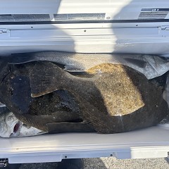 2月4日（水）午前便・泳がせ釣りの写真その6