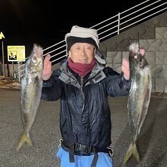 2月4日（水）午後便・アジ釣りの写真その2