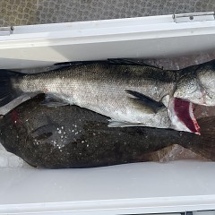 2月 5日（木）一日便・泳がせ釣りの写真その1