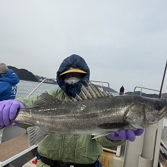 2月5日（木）午前便・泳がせ釣りの写真その6