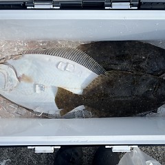 2月6日（金）一日便・泳がせ釣りの写真その8