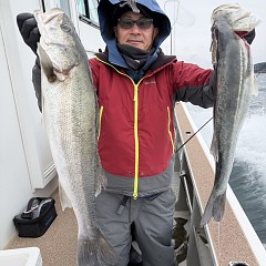 2月7日（土）午前便・泳がせ釣りの写真その3