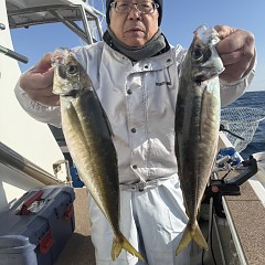 2月7日（土）午後便・アジ釣りの写真その7