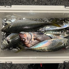 2月7日（土）午後便・アジ釣りの写真その12