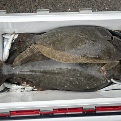 2月8日（日）一日便・泳がせ釣りの写真その6