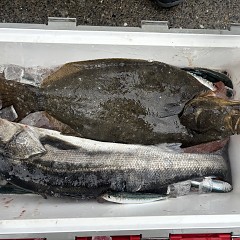 2月8日（日）一日便・泳がせ釣りの写真その8