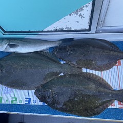 2月 9日（月）一日便・泳がせ釣りの写真その12