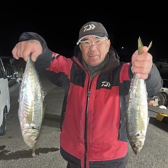 2月9日（月）午後便・アジ釣りの写真その1