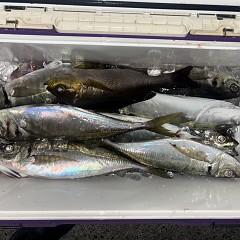 2月9日（月）午後便・アジ釣りの写真その7