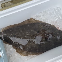 2月 10日（火） 一日便・泳がせ釣りの写真その5