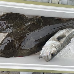 2月 10日（火） 一日便・泳がせ釣りの写真その7