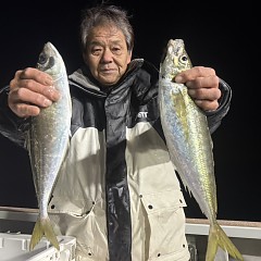 2月10日（火）午後便・アジ釣りの写真その2