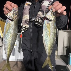 2月10日（火）午後便・アジ釣りの写真その6