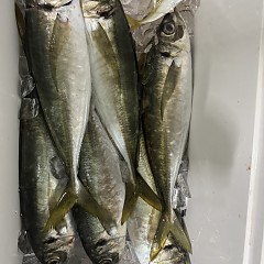 2月10日（火）午後便・アジ釣りの写真その8