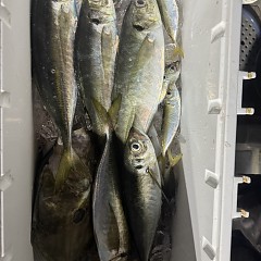 2月10日（火）午後便・アジ釣りの写真その10