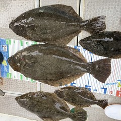 2月 16日(月)一日便・泳がせ釣りの写真その9