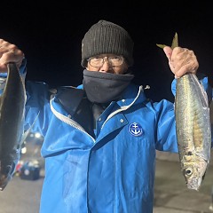 2月17日（火）午後便・アジ釣りの写真その3