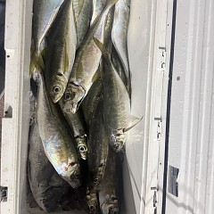 2月17日（火）午後便・アジ釣りの写真その6