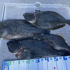 2月 18日(水)一日便・泳がせ釣りの写真その10