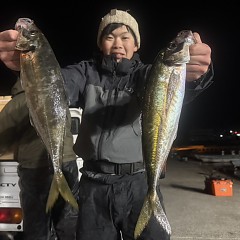 2月18日（水）午後便・アジ釣りの写真その5