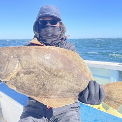 2月 19日(木)一日便・泳がせ釣りの写真その8