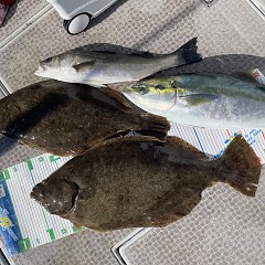 2月 19日(木)一日便・泳がせ釣りの写真その10