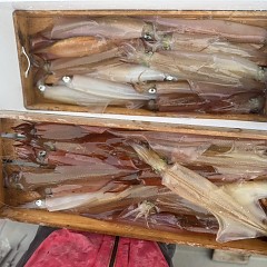 2月20日（金）午前便・ヤリイカ釣りの写真その7