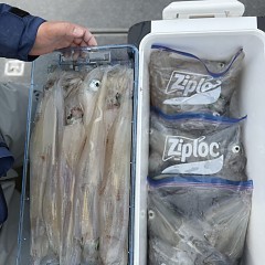 2月20日（金）午前便・ヤリイカ釣りの写真その8