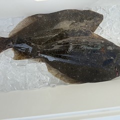 2月 23日(月)一日便・泳がせ釣りの写真その4