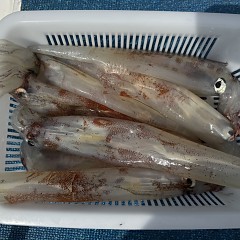 2月 24日(火)午前便・ヤリイカ釣りの写真その10