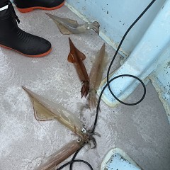 2月 24日(火)午前便・ヤリイカ釣りの写真その11