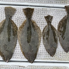 2月 27日(金)午前便・泳がせ釣りの写真その6