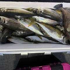 2月 27日(金)午後便・アジ釣りの写真その5