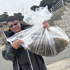 2月27日(金)一日便・泳がせ釣りの写真その3