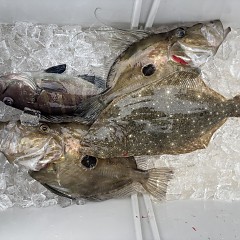 2月27日(金)一日便・泳がせ釣りの写真その7