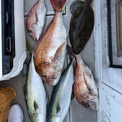 2月 28日（土）一日便・泳がせ釣りの写真その10