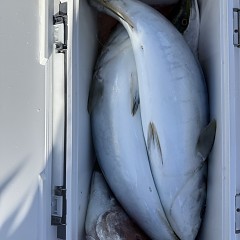 2月 28日（土）一日便・泳がせ釣りの写真その11