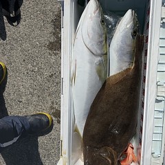 2月 28日（土）一日便・泳がせ釣りの写真その12