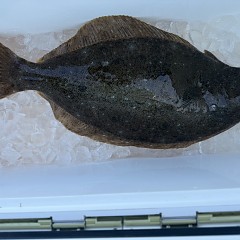 3月 1日（日）一日便・泳がせ釣りの写真その12