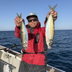 3月1日(日)午後便・アジ釣りの写真その2