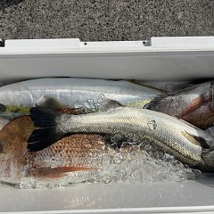 3月2日（月）午前便・泳がせ釣りの写真その4