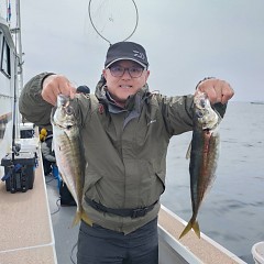 3月2日(月)午後便・アジ釣りの写真その4