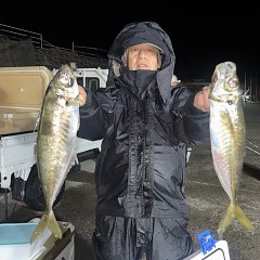 3月2日(月)午後便・アジ釣りの写真その12