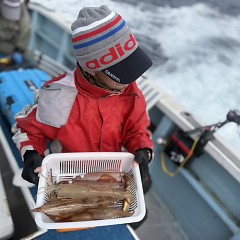 3月 2日（月）一日便・ヤリイカ釣りの写真その6
