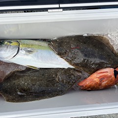 3月6日(金)午前便・泳がせ釣りの写真その6