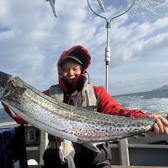 3月7日（土）午前便・泳がせ釣りの写真その7