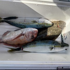 3月7日（土）午前便・泳がせ釣りの写真その9