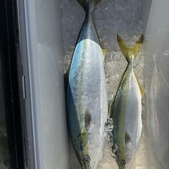 3月7日（土）午前便・泳がせ釣りの写真その10