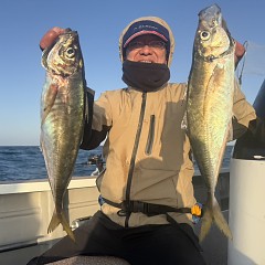 3月7日（土）午後便・アジ釣りの写真その2
